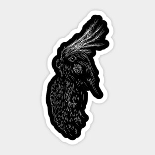 Cockatiel Sticker